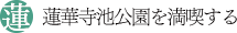 蓮華寺池公園を満喫する