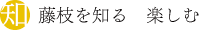 藤枝を知る　楽しむ