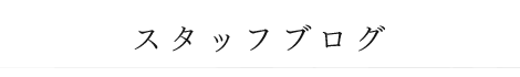 スタッフブログ